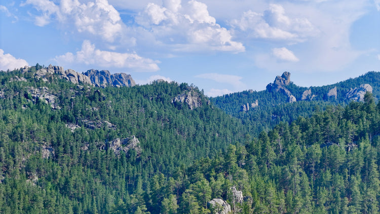 Black Hills