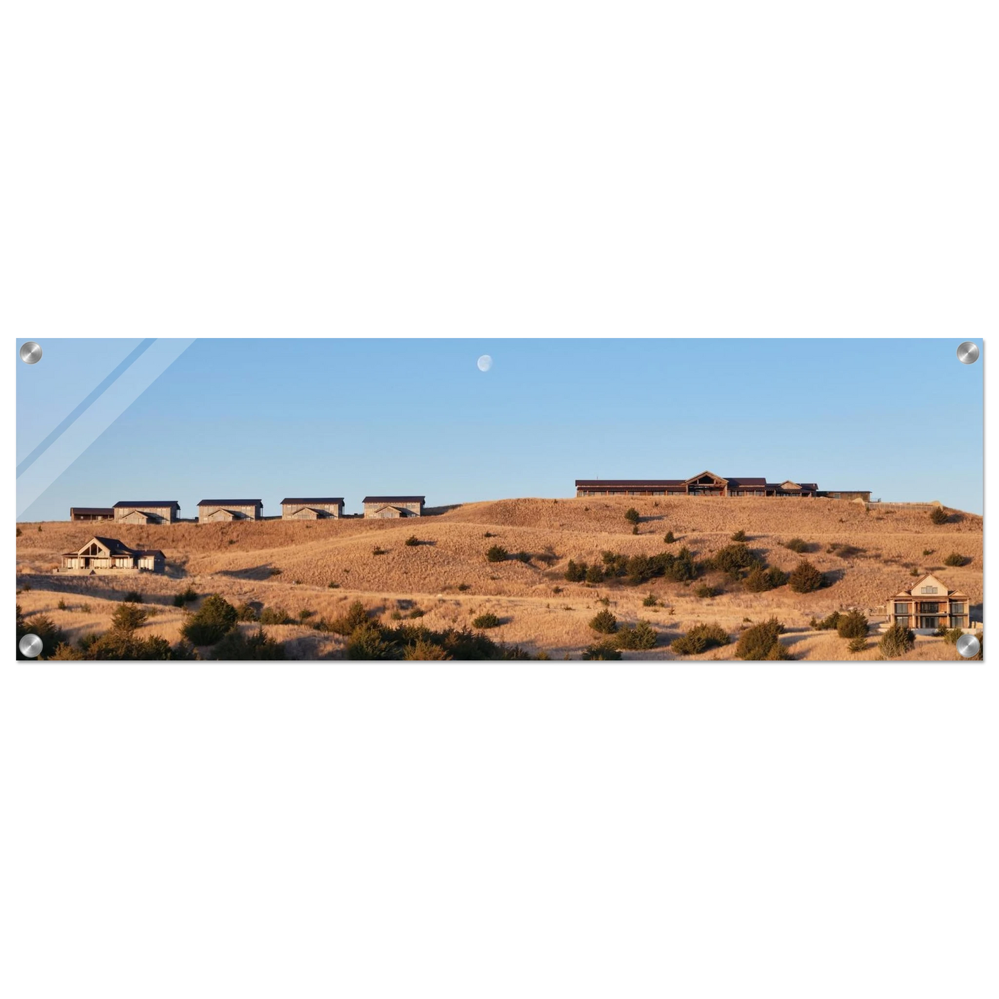 98d47159-0857-40fc-8427-10b1e282a6e8