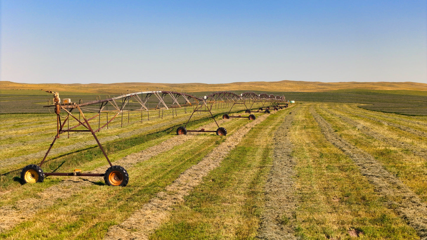 AG - Iron Arcs