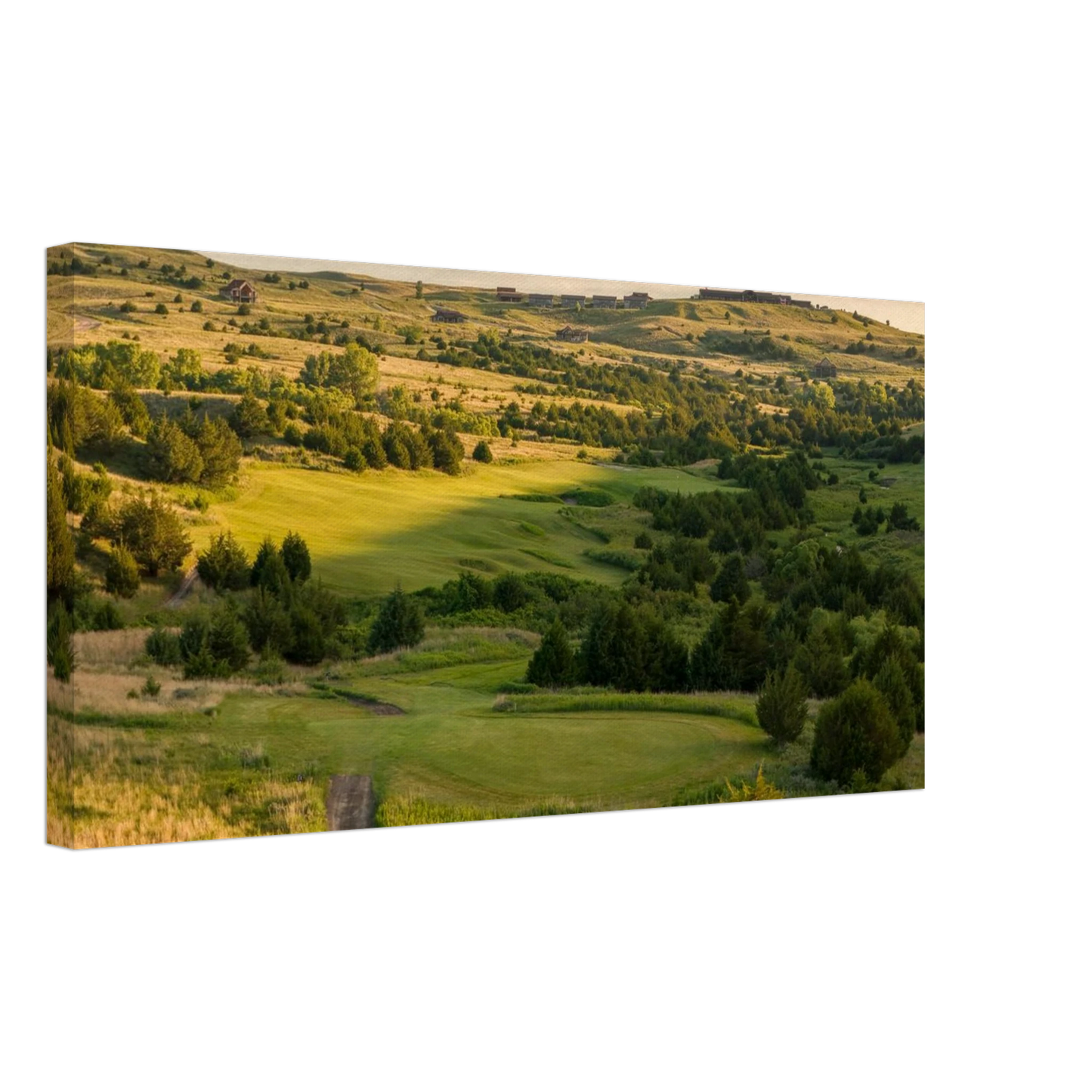 dfcff83b-f51e-4bb4-acee-ddfcce7b8a2b