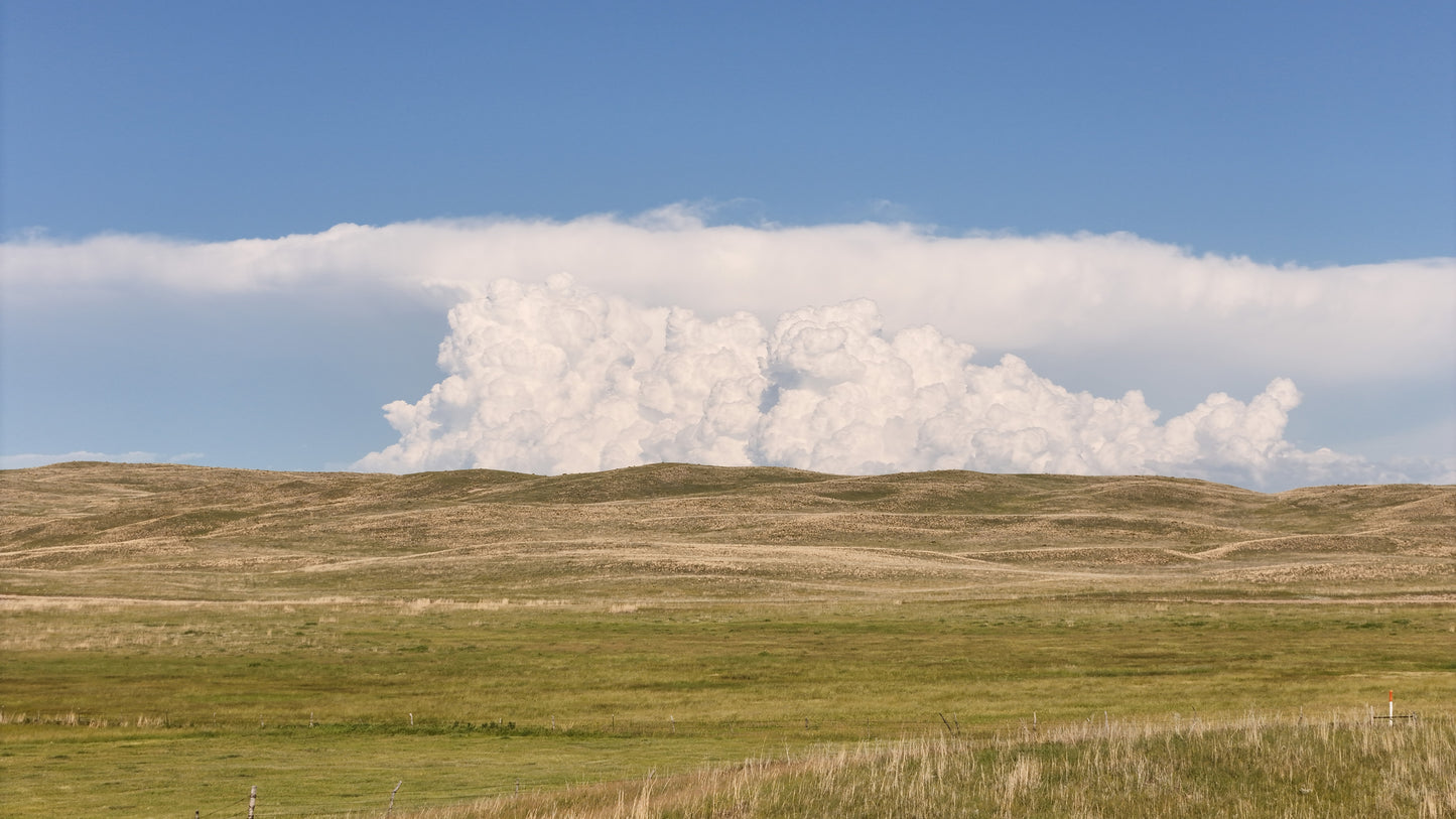 Sandhills - Prairie Thunder