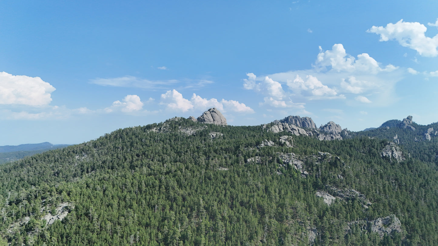 Black Hills - Baldy's Reach