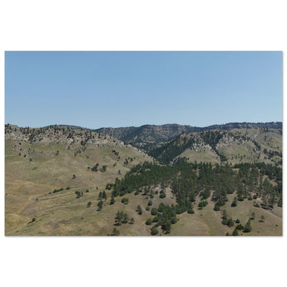 1482c0e6-aed7-45b1-9160-39227650a01c