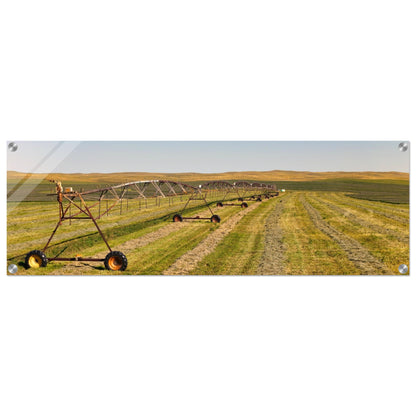 20126682-81fc-4d81-b358-135873ce941c