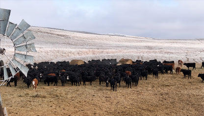 AG - Hay Huddle