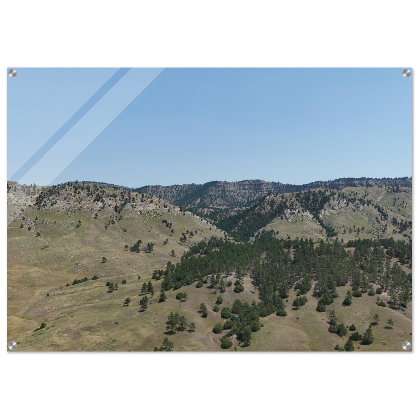 66451677-e908-4077-86d1-57e8b0daa349