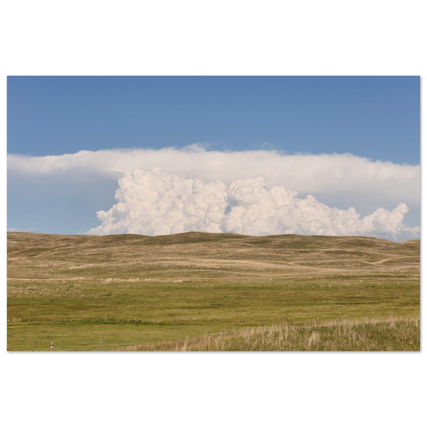 6e8ac690-5011-43df-af91-fed88b7ff65a