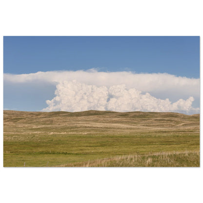 6e8ac690-5011-43df-af91-fed88b7ff65a