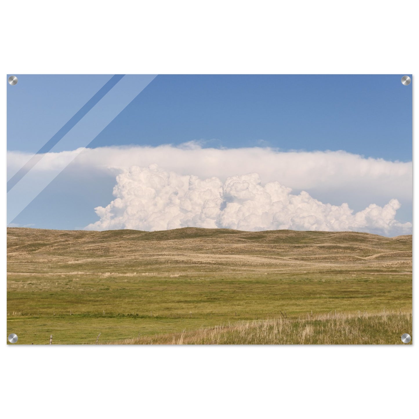 8c2bfbcf-e22c-4b78-936a-04a5e5000684