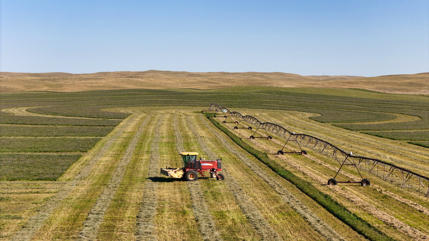 AG - Hayfield Lines