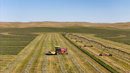 AG - Hayfield Lines