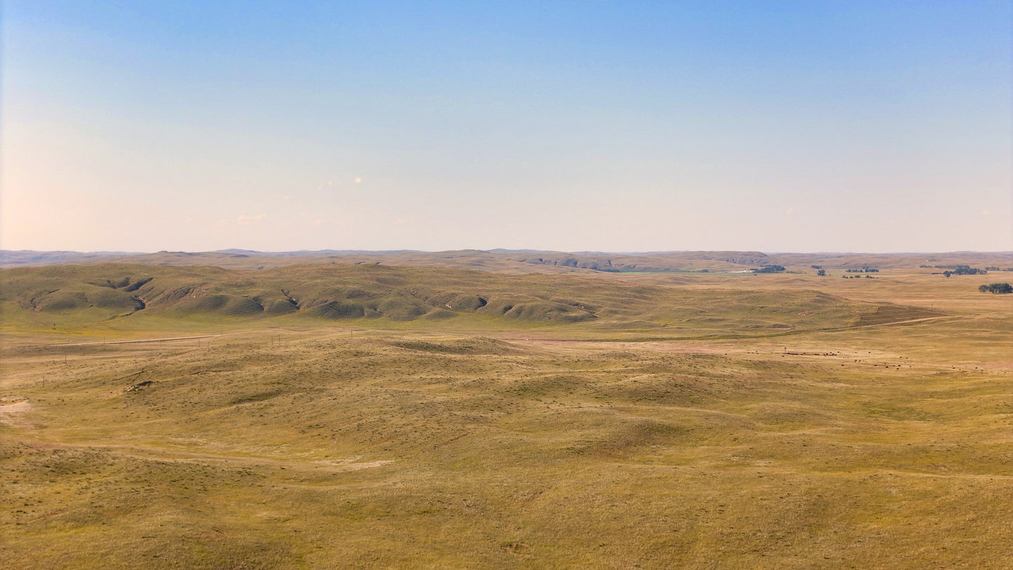 Sandhills - Prairie Whispers