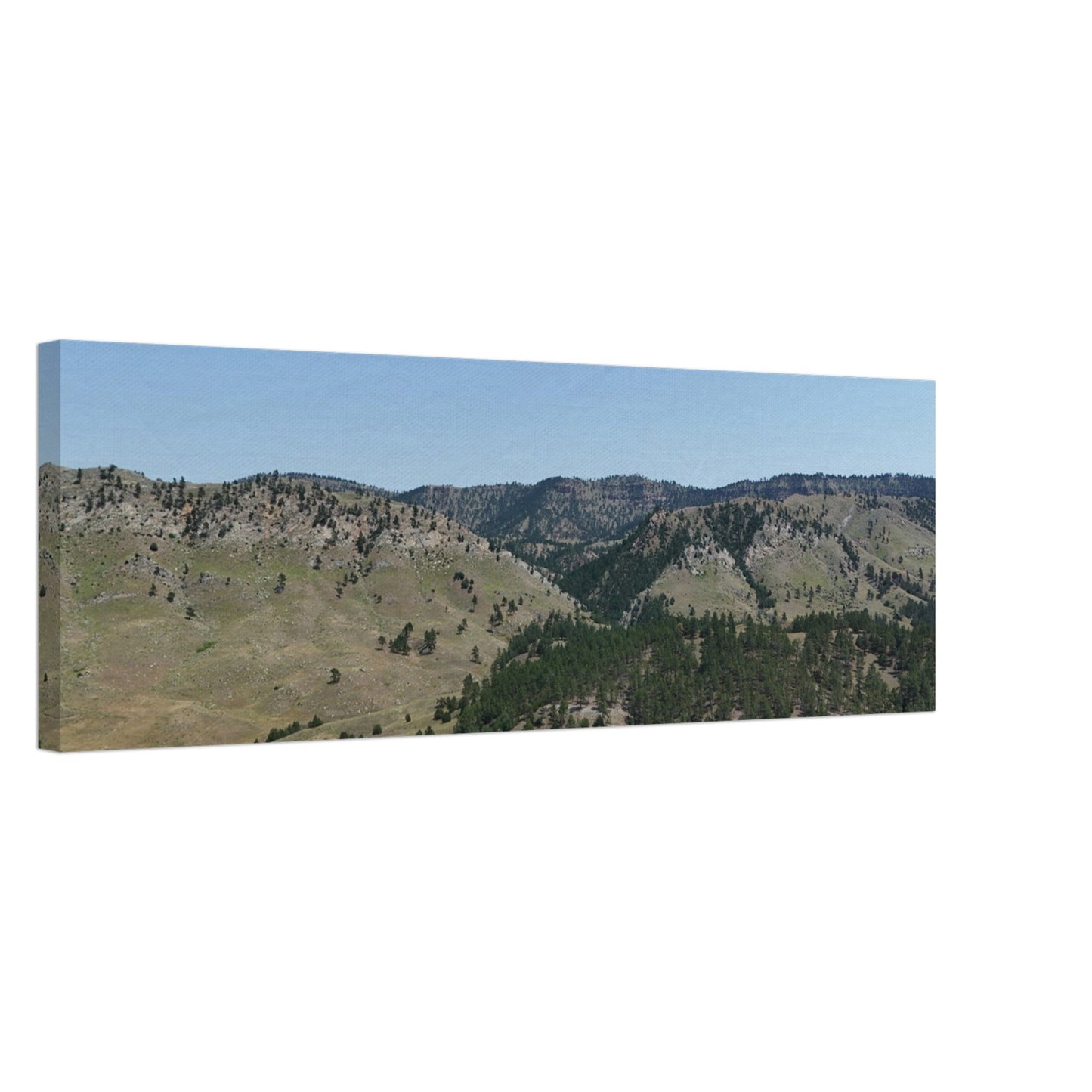 bfaefb6e-c486-48a5-b708-708944b54006