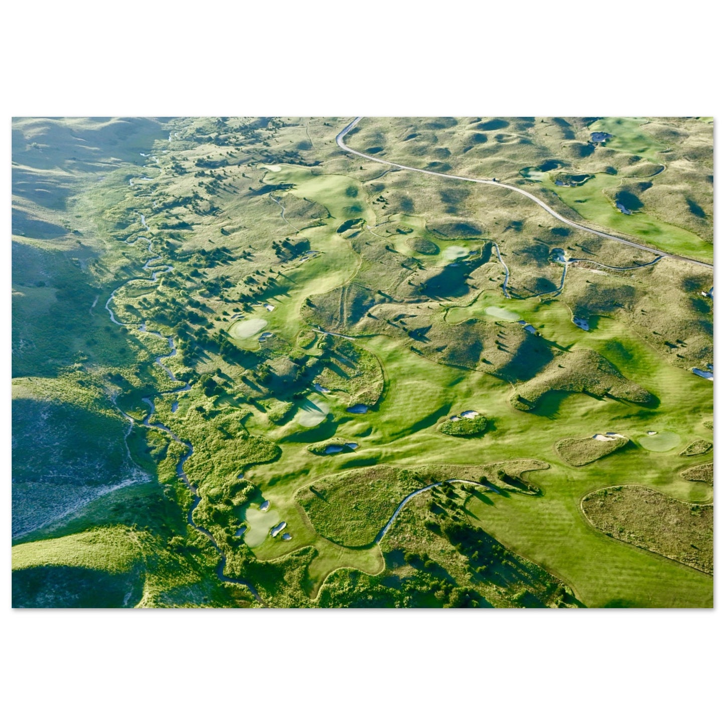 c544955e-42bb-4455-891b-47d0f5292975