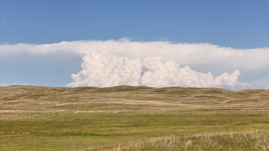 Sandhills - Prairie Thunder