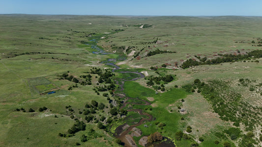 Sandhills - Prairie Viens