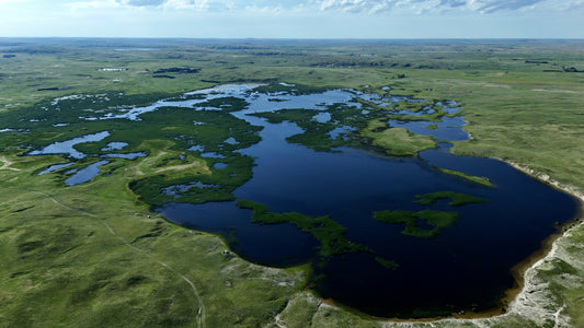 Sandhills - Brown Lake Expanse
