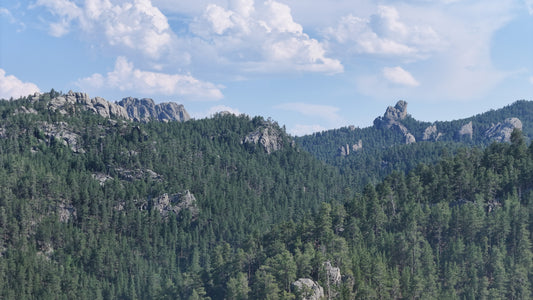 Black Hills - Timeless Pines