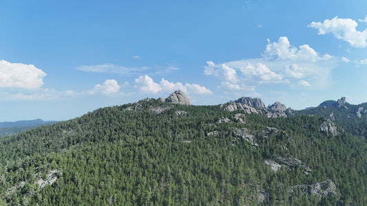 Black Hills - Baldy's Reach
