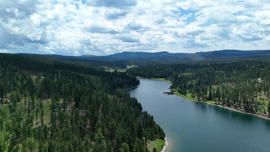 Black Hills - Deerfield Calm