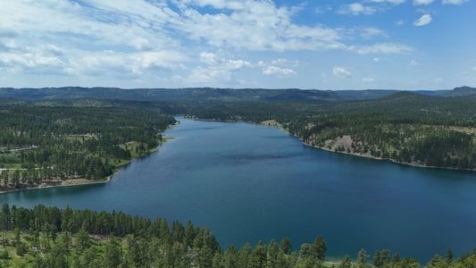 Black Hills - Deerfield Stretch