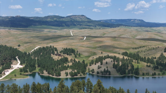 Black Hills - Pasture Peaks