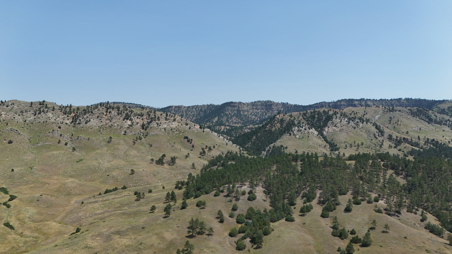 Black Hills - Cascade Horizons