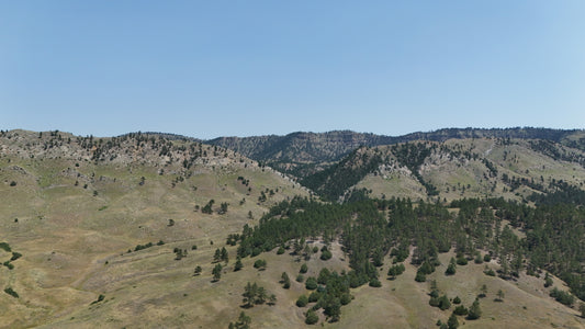 Black Hills - Cascade Horizons