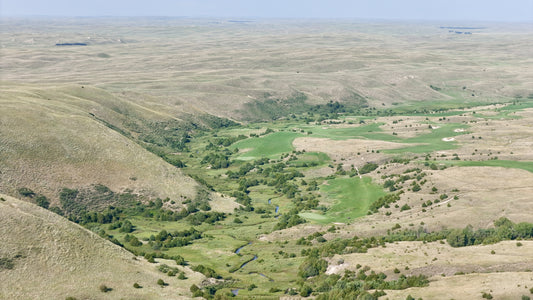 DRC - Sandhill Oasis