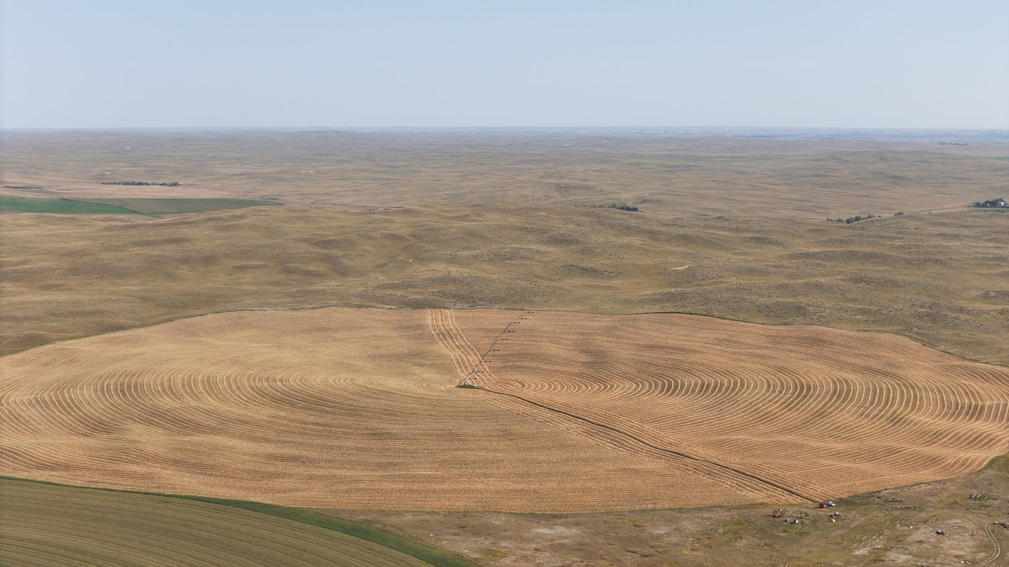 AG - Pivot Gold