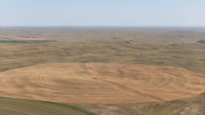 AG - Pivot Gold