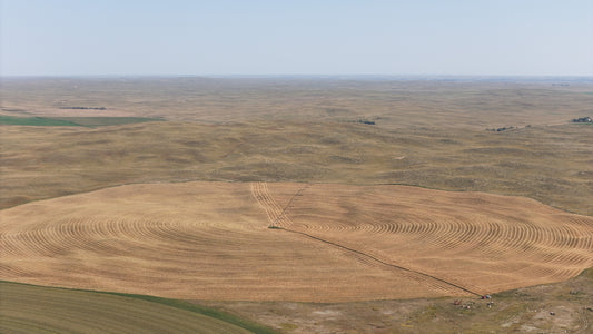 AG - Pivot Gold