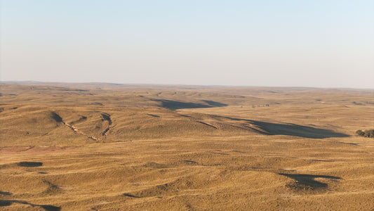 Sandhills - Grassland Granduer