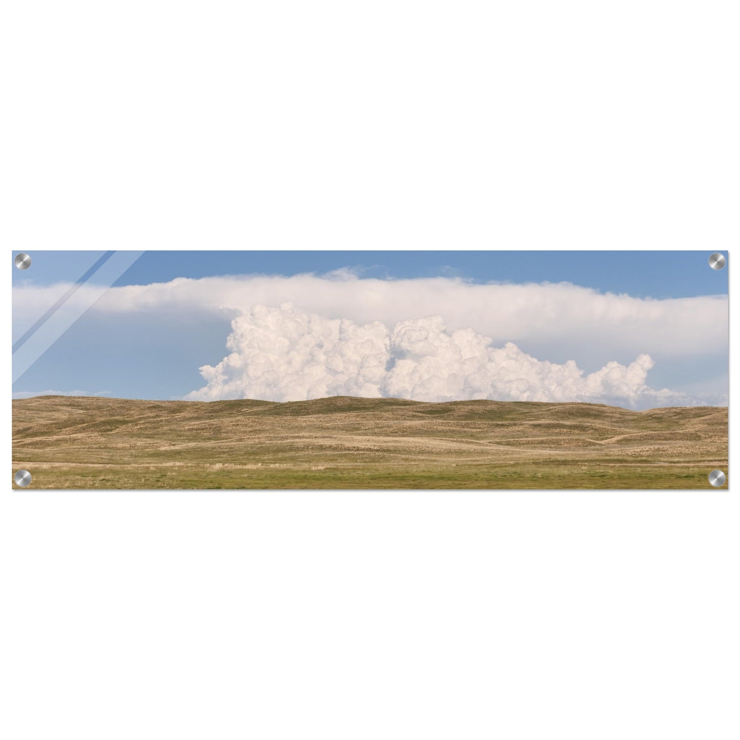 eea97674-10f9-4fae-9363-76c28177d6e9